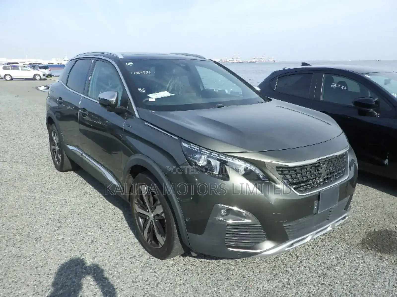 Motor Vehicle Import Service