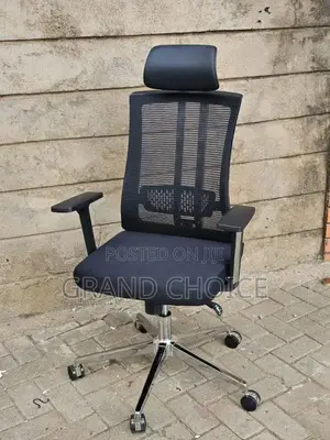 Modern Orthopedic Office Chair