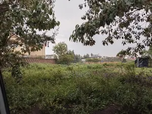 One 50 X 100 Plot Karai Naivasha ( at 0.06520ha)