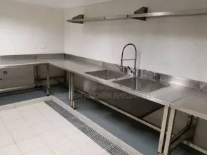 Double Bowl Sink