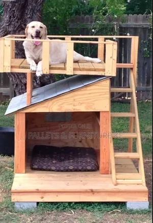 Elitepup Kennel Why