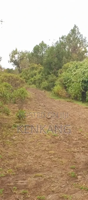 Land 3 Acres