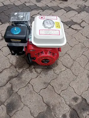 Powerful Gasoline Engine 7.5hp