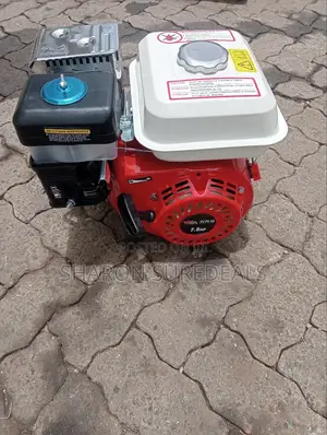 Powerful Gasoline Engine 7.5hp