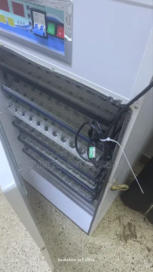 528 Automatic Egg Incubator/Ac/Dc Automatic Egg Incubator