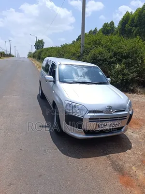Toyota Probox 1.5 DX 2WD 2017 Silver