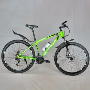 Raid 29′′ Adult Steel Mountain Bike