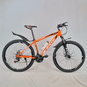 Raid 29′′ Adult Mountain Bike