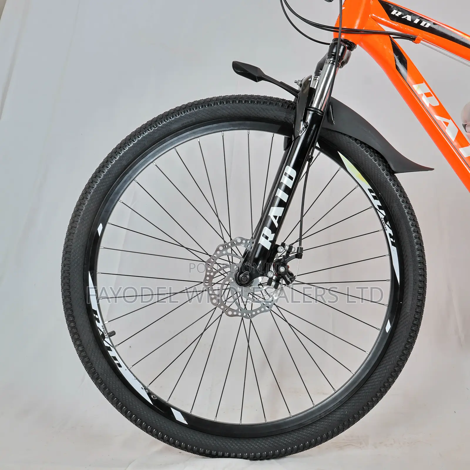 Raid 29′′ Adult Mountain Bike