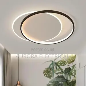 Ceiling Light