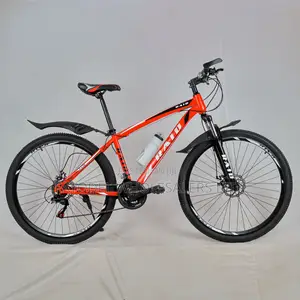 Raid Size 29er Mountain Bike for Adults