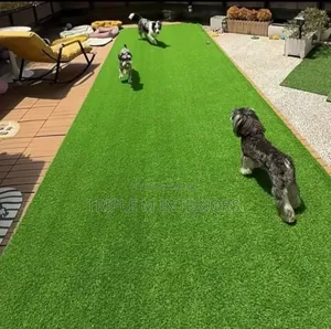Create a Perfect Dog Compound | Soft, Safe, and Beautiful
