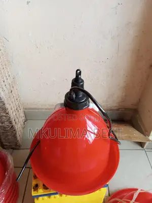 Automatic Drinker