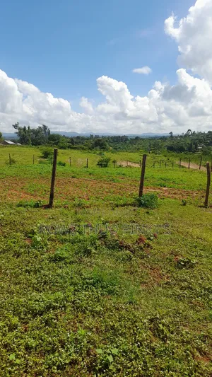 50x100 Plots Sizes
