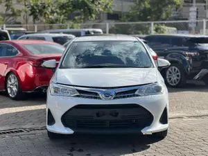 Toyota Corolla Fielder 2019 White