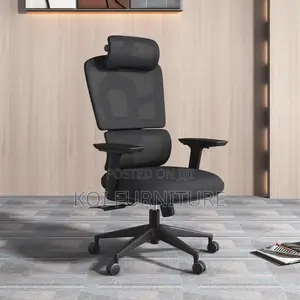 Office Chairs; High Backrest Office Orthopedic Seat in 3d