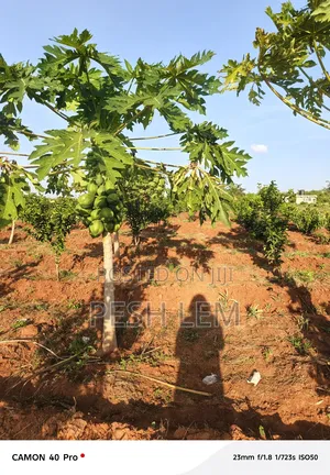 Matuu Plots