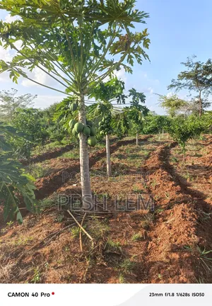 Matuu Plots