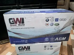 Great World Din105mf Agm Battery