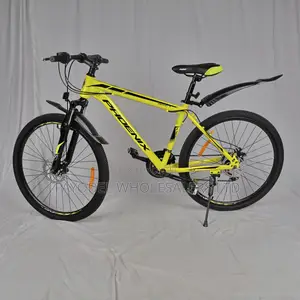Teens and Adult Phoenix MTB Size 26