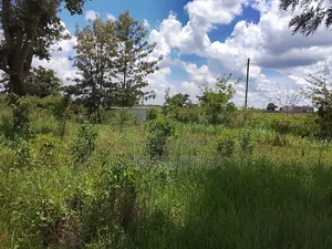 Land Property