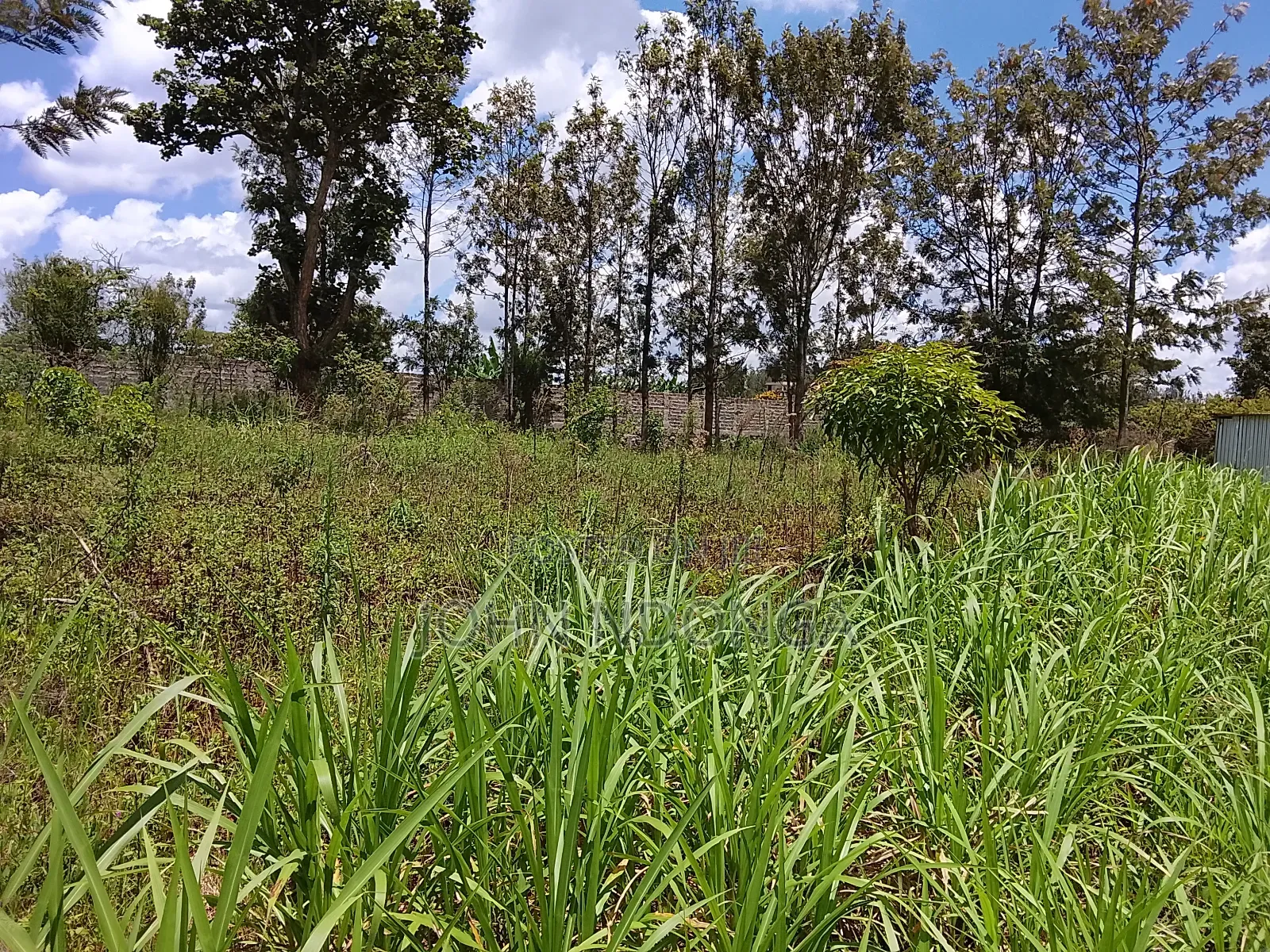Land Property