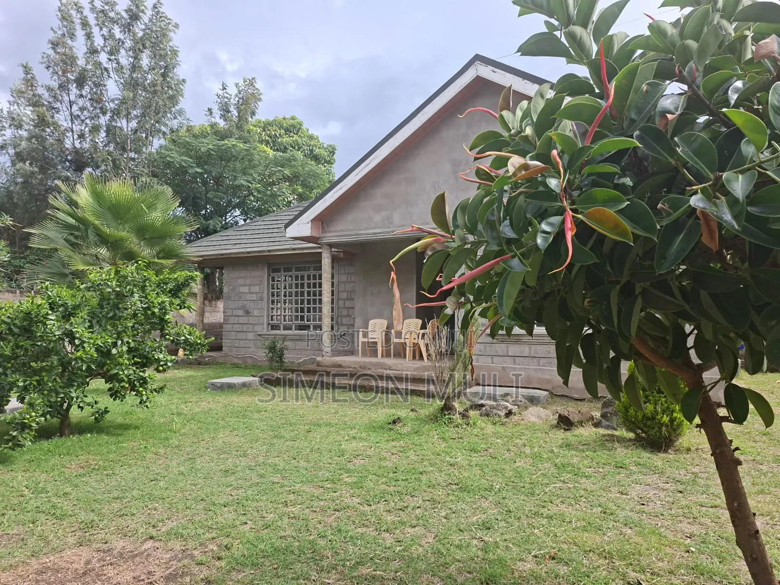 Plot and House