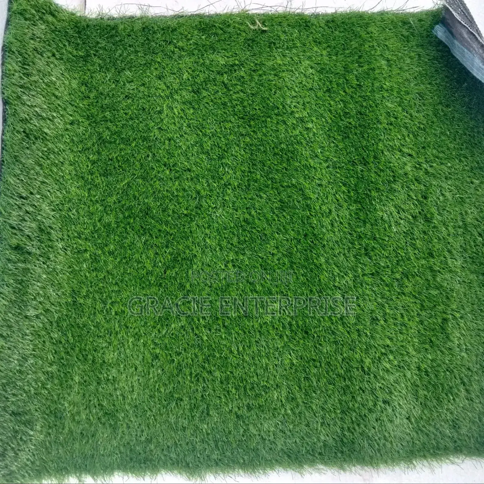 Carpet Grass