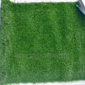 Carpet Grass