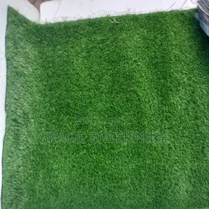 Carpet Grass
