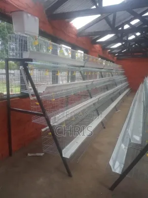 Chicken Cages