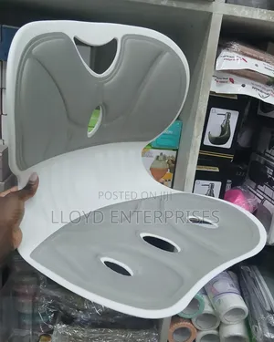 Back Support Seat Cushion