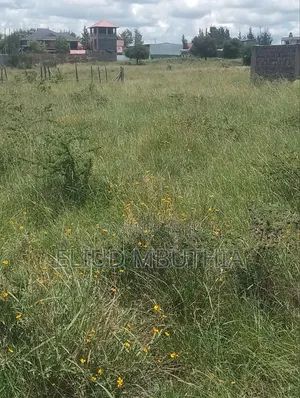 Selling 50 by 100 in Malaa 800 Meters From Tarmac
