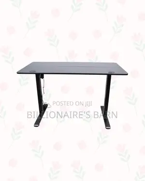 Boost Workflow With 1200x600mm Standing Desk Smooth Electric Lift