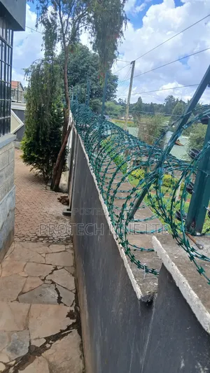 Green Razor Wire Double Galvanized 450mm