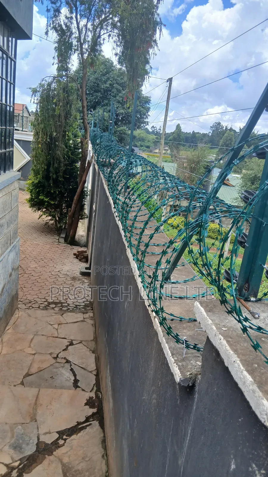 Green Razor Wire Double Galvanized 450mm