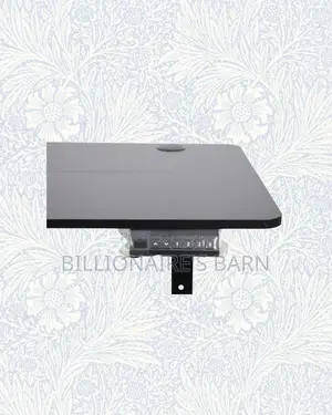 Upgrade Your Setup Using 1200x600mm Standing Desk Electric Lift For