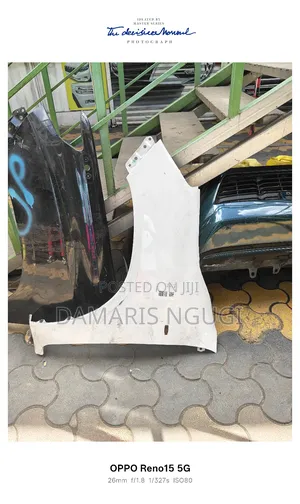 Hilux Vigo Wings/Fender