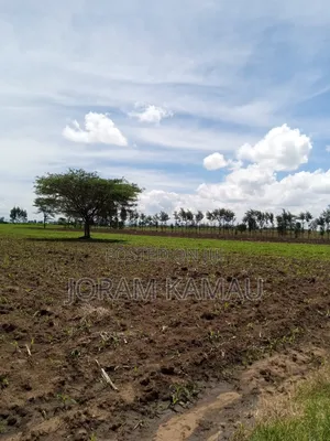 Plot for Sale in Simba Cement Less Than 2km From Main Road