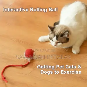 Interactive Automatic Electric Rolling Dog Cat Toy Ball With Usb