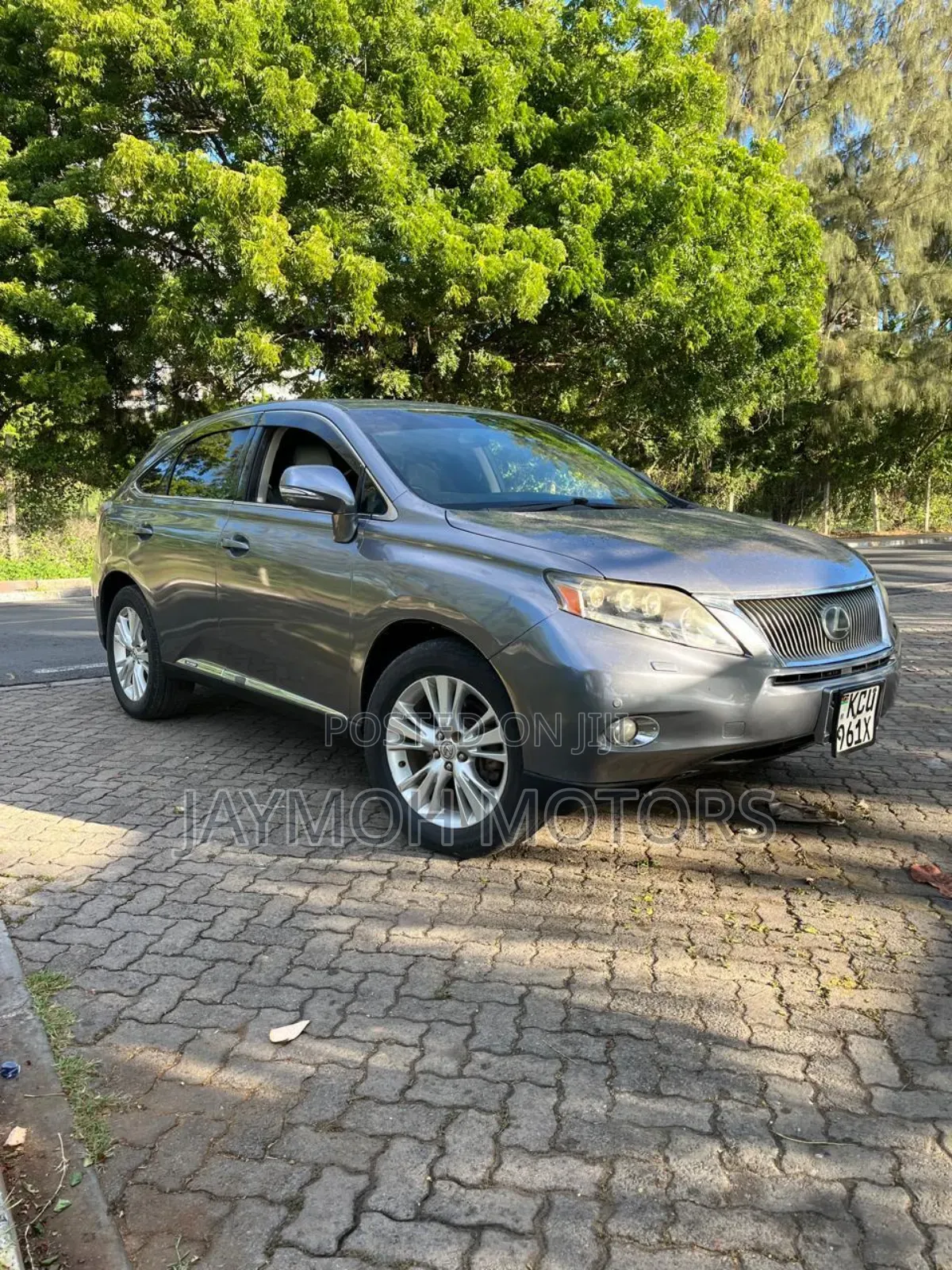 Lexus RX 2013 Gray