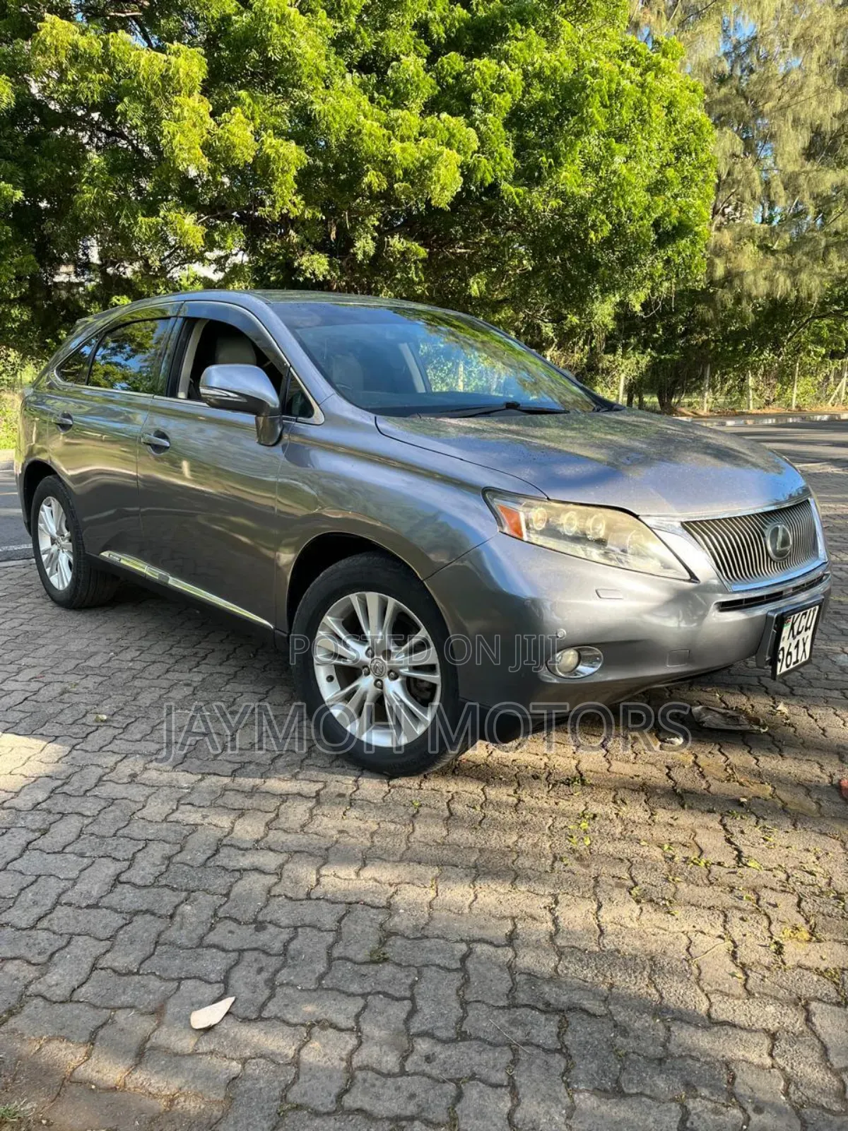Lexus RX 2013 Gray