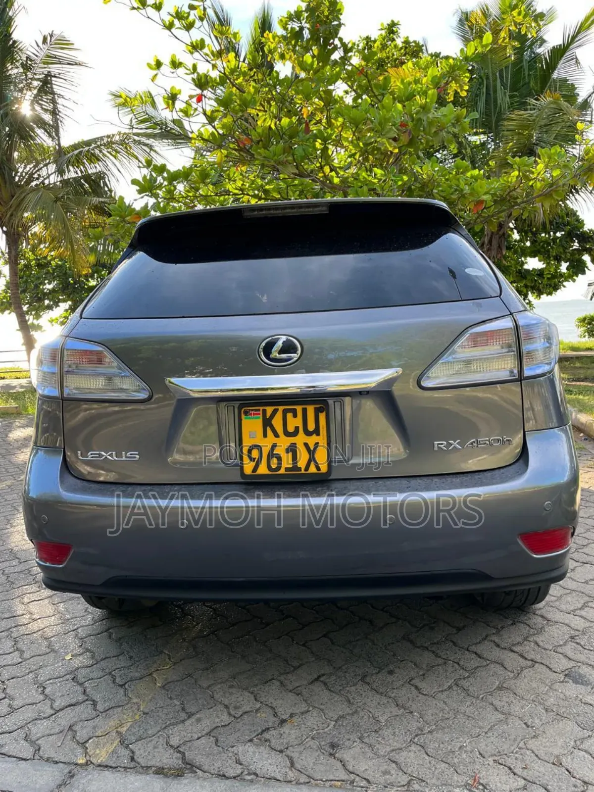 Lexus RX 2013 Gray