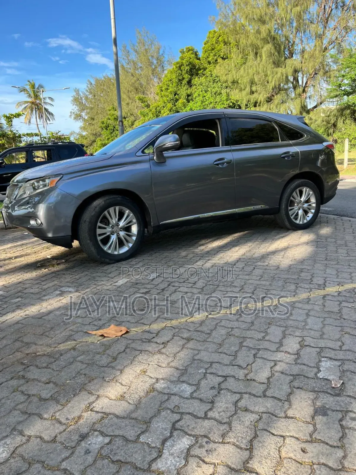 Lexus RX 2013 Gray