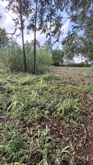 Quarter Acre for Sale at Kiambaa Waguthu