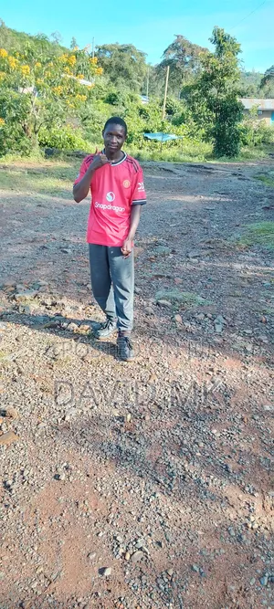 I'm Good Person and Hard Working if You Give Me That Chance I'll Do