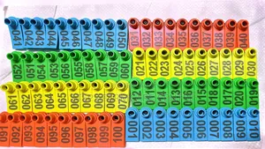 100 Pack Multicoloured Goat Tags