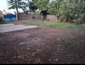 Quarter Acre Membley