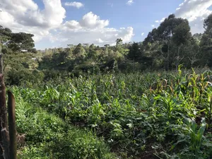 One Acre Piece of Land for Sale in Ngong, Kahara. Red Soil Farmland