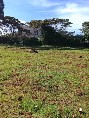 Your Dream Home Awaits – Prime 3/8 Acre Plot in Ngong Kibiko!